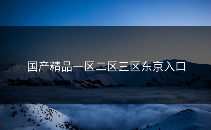 国产精品一区二区三区东京入口