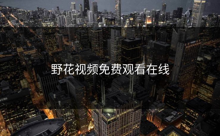 野花视频免费观看在线