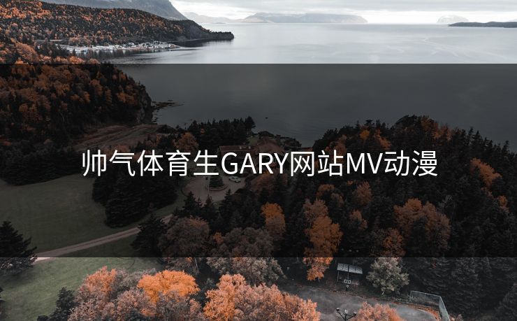 帅气体育生GARY网站MV动漫